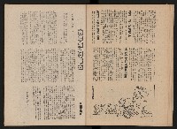 《黨外新形象》藏品圖，第16張