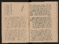 《黨外新形象》藏品圖，第30張