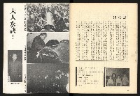 《二月杜鵑紅》藏品圖，第42張