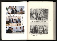 《水牛發飆》藏品圖，第197張