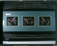 登錄號:KH2001.007.0004藏品圖，第1張