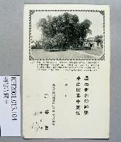 登錄號:KH2001.013.0104藏品圖，第2張