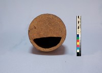 登錄號:KH2001.017.0002藏品圖，第4張