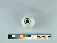 登錄號:KH2001.021.0005藏品圖，第4張