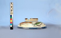 登錄號:KH2001.022.0001藏品圖，第8張