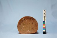 登錄號:KH2001.023.0005藏品圖，第5張