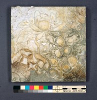 登錄號:KH2001.025.0002藏品圖，第5張