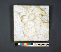 登錄號:KH2001.025.0002藏品圖，第9張