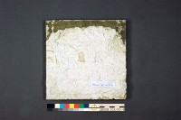 登錄號:KH2001.025.0003藏品圖，第8張