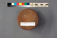 登錄號:KH2001.025.0004藏品圖，第9張