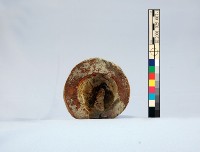 登錄號:KH2001.025.0007藏品圖，第5張