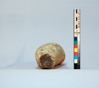 登錄號:KH2001.025.0007藏品圖，第11張