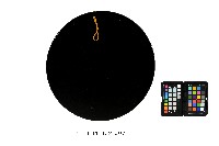 登錄號:KH2001.032.0007藏品圖，第2張