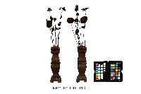 登錄號:KH2001.032.0013藏品圖，第2張