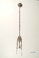 登錄號:KH2001.037.0014藏品圖，第1張