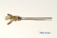 登錄號:KH2001.038.0003藏品圖，第4張