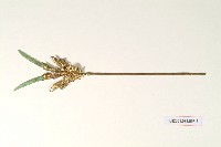 登錄號:KH2001.038.0003藏品圖，第5張