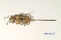 登錄號:KH2001.038.0005藏品圖，第2張