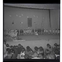 登錄號:KH2002.007.0024藏品圖，第2張