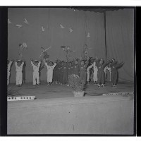 登錄號:KH2002.007.0024藏品圖，第4張