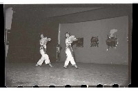 登錄號:KH2002.007.0048藏品圖，第10張