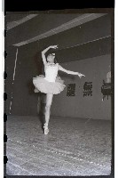 登錄號:KH2002.007.0048藏品圖，第14張