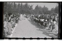 登錄號:KH2002.007.0049藏品圖，第16張