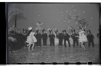 登錄號:KH2002.007.0064藏品圖，第14張