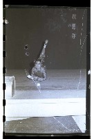 登錄號:KH2002.007.0088藏品圖，第19張