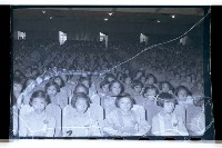 登錄號:KH2002.007.0093藏品圖，第19張