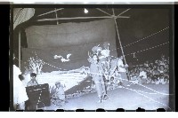 登錄號:KH2002.007.0093藏品圖，第22張