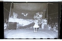 登錄號:KH2002.007.0093藏品圖，第23張