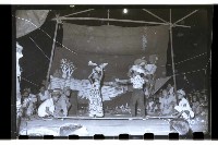 登錄號:KH2002.007.0094藏品圖，第11張