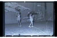 登錄號:KH2002.007.0095藏品圖，第19張