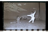 登錄號:KH2002.007.0096藏品圖，第11張