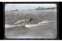 登錄號:KH2002.007.0105藏品圖，第8張