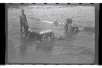 登錄號:KH2002.007.0106藏品圖，第3張