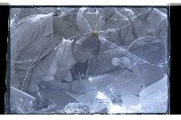 登錄號:KH2002.007.0116藏品圖，第14張