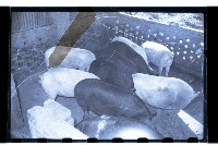 登錄號:KH2002.007.0122藏品圖，第14張