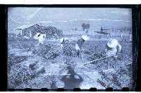 登錄號:KH2002.007.0122藏品圖，第15張