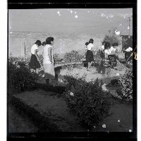 登錄號:KH2002.007.0126藏品圖，第9張