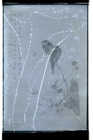 登錄號:KH2002.007.0139藏品圖，第11張