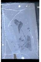 登錄號:KH2002.007.0139藏品圖，第25張