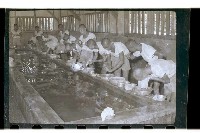 登錄號:KH2002.007.0151藏品圖，第6張