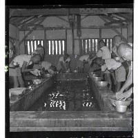 登錄號:KH2002.007.0151藏品圖，第7張