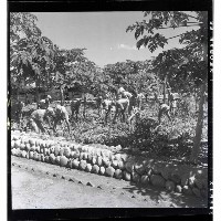 登錄號:KH2002.007.0152藏品圖，第19張