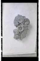 登錄號:KH2002.007.0170藏品圖，第21張