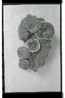 登錄號:KH2002.007.0170藏品圖，第24張