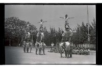 登錄號:KH2002.007.0187藏品圖，第8張