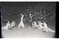 登錄號:KH2002.007.0188藏品圖，第13張